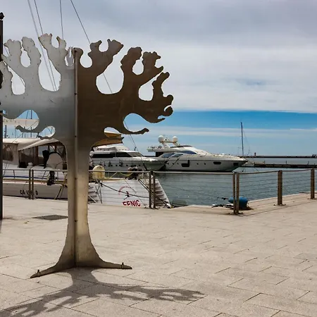 La Casa Di Elisa 公寓 卡利亚里